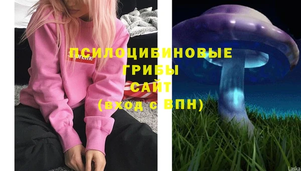 эйфоретик Сатка