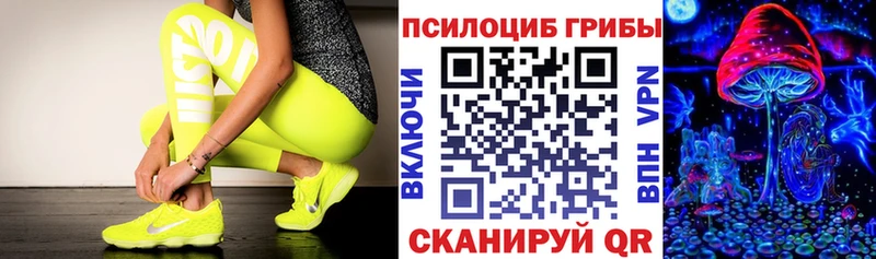 блэк спрут   купить   Среднеуральск  Псилоцибиновые грибы ЛСД 