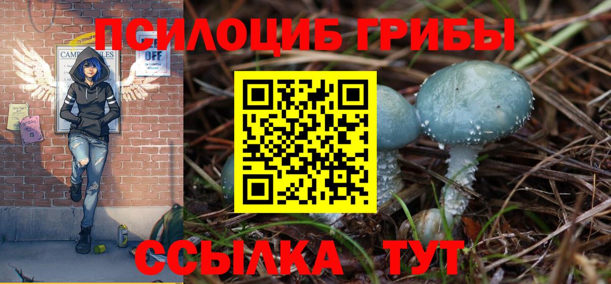Среднеуральск  Псилоцибиновые грибы MAGIC MUSHROOMS  Псилоцибиновые грибы прущие грибы  Вход с VPN 
