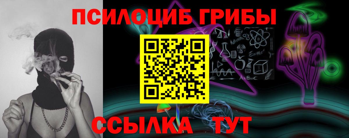 Галлюциногенные грибы GOLDEN TEACHER Среднеуральск