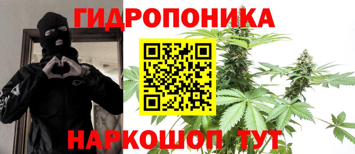 Бошки марихуана Amnesia Среднеуральск